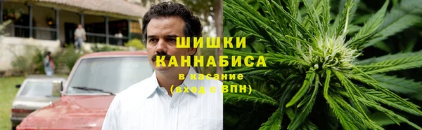 гидропоника Алзамай