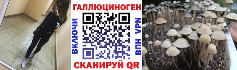 Галлюциногенные грибы MAGIC MUSHROOMS  купить   Жиздра 